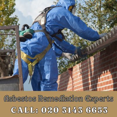 Asbestos Remediation Experts Bayswater