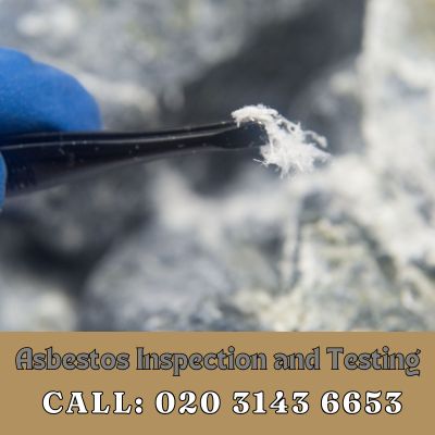 Comprehensive Asbestos Inspection and Testing Services in Bayswater